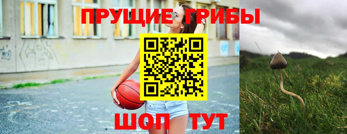 Урай  Псилоцибиновые грибы прущие грибы  Вход с VPN 